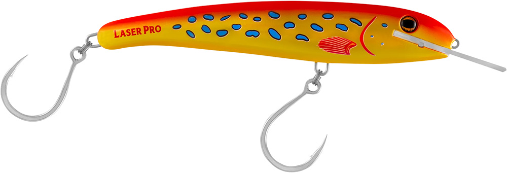 Coral Trout