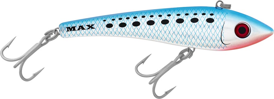 Pilchard