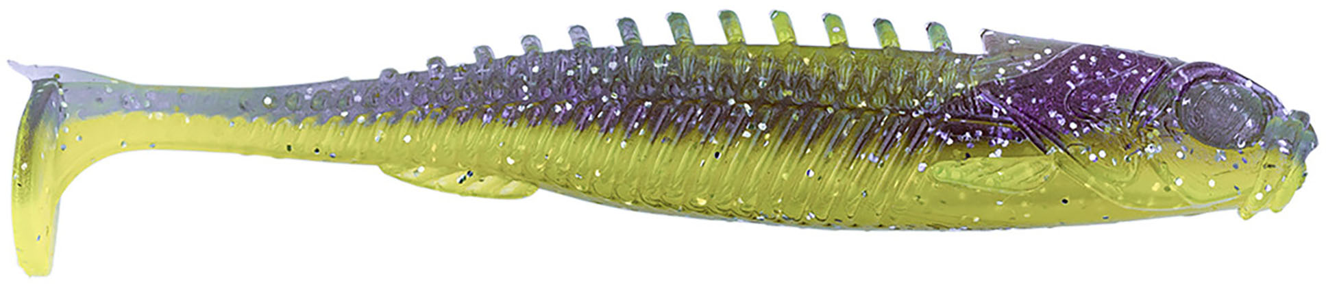 Purple Gill