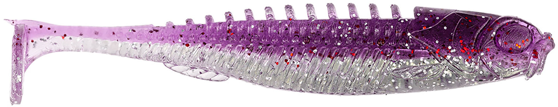 Purple Shad