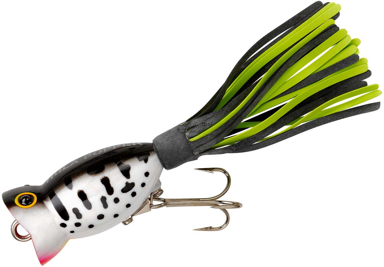 Arbogast 1/4oz Hula Popper G770 Topwater Lure in Color Coach Dog for Bass  Hadr for sale online