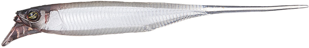 Silver Shad