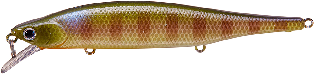 BE Gill