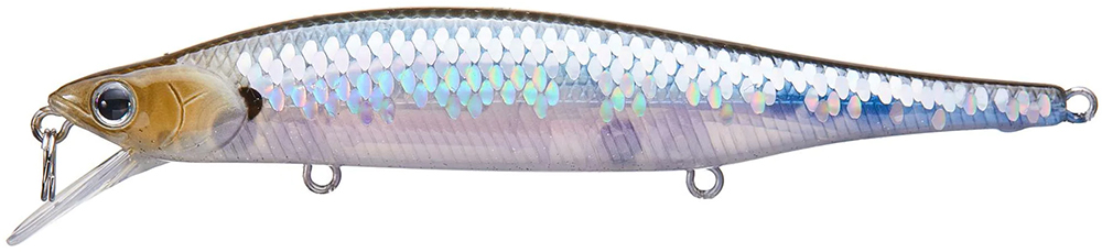 MS Ghost Minnow