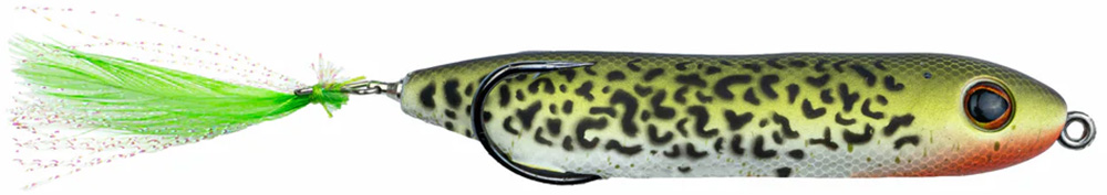 Crappie