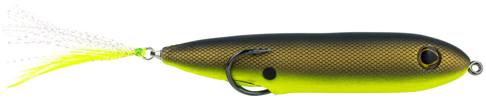 Chartreuse Shad