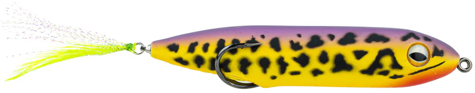 Sunrise Frog