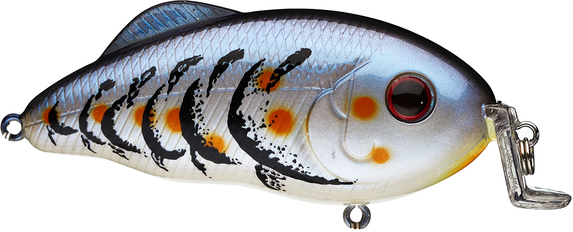 Blue Craw
