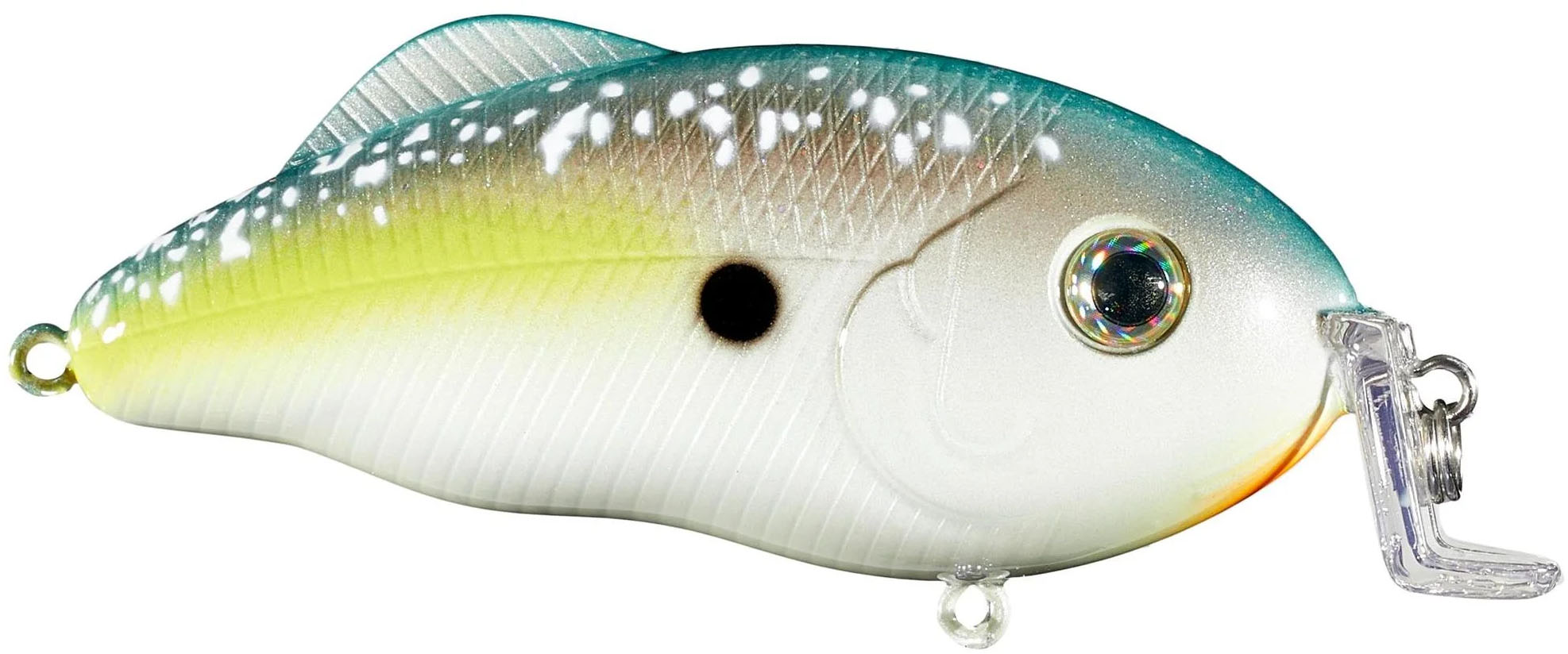 Sexy Shad 2.0