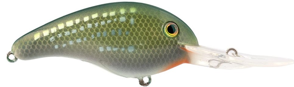 River Shiner