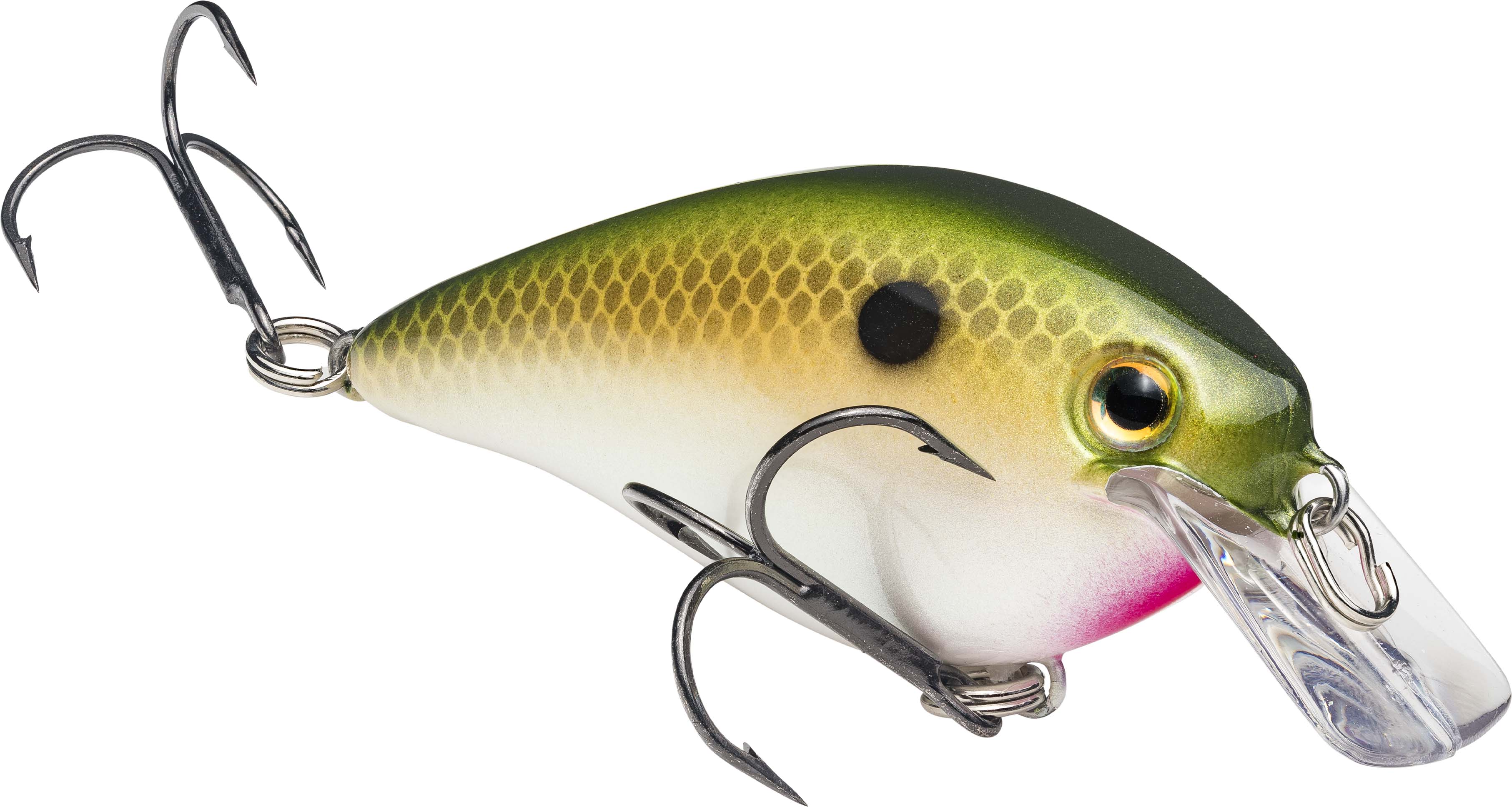 Strike King KVD Square 1.0, Bully | Durbin's Bait & Tackle