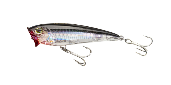 Yo-Zuri 3D Inshore Popper 2 3/4 inch Topwater Popper Sea Trout & Redfish Lure - Picture 14 of 14